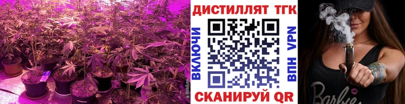 Дистиллят ТГК Wax  Орлов 