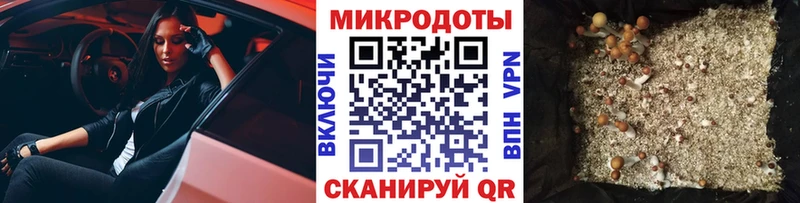 Псилоцибиновые грибы Psilocybine cubensis Орлов